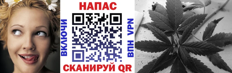как найти   Сургут  МАРИХУАНА OG Kush 